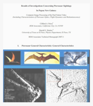 Are Marfa Lights Pterosaurs - Vampire Bat