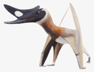 Pteros If You& - Pterosaur Crest