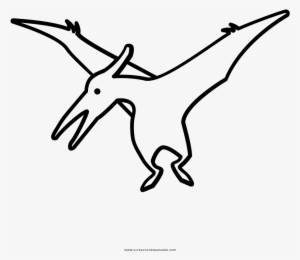 Pterodactyl Coloring Page - Coloring Book