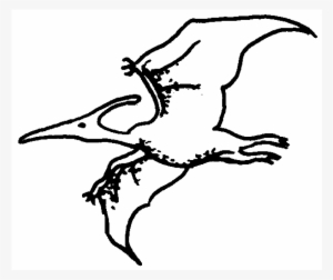 Zoom Pterodactyl Rubber Stamp - Sketch