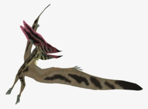 Pterodactyl Cafe - Posterazzi Thalassodromeus Pterosaur In Flight. Poster