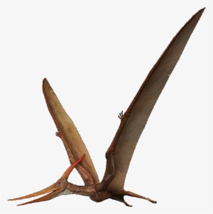 Pterosaurs Png Transparent Picture - Pterosaurio Png
