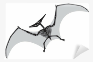 Pterodactyl Skeleton