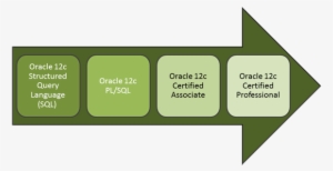 Oracle Classes Path - Oracle Database Certification Path