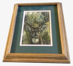 Bixby, Buck With A Big Rack, Deer, Original Watercolor - Picture Frame