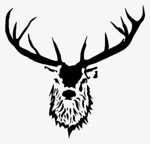 Reindeer