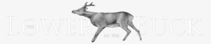 The Lower Buck Logo Waddington - Elk