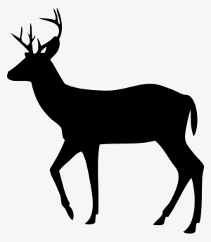 My Current Logo Is By The Way - Walking Buck Deer Silhouette