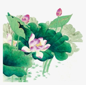 Chinese Brush Painting Peony Wallpaper Png
