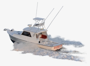 We Just Bought Another Boat So - Gypsy Fishing Charters Clearwater