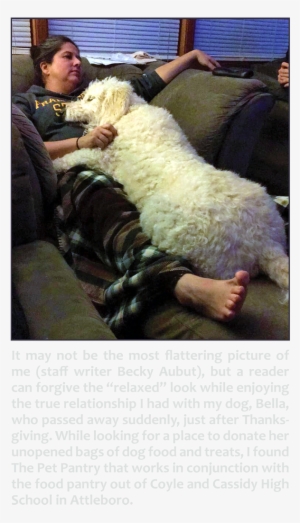 Becky Bella - Sheep