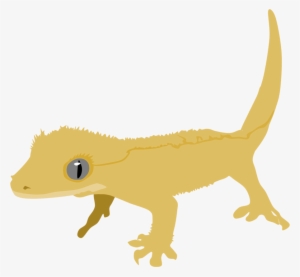 crested gecko by adamzt2-d4pmyel - crested gecko clipart