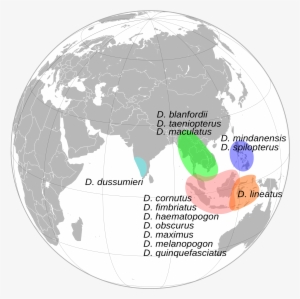 Open - World Map India Globe