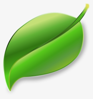 Leaf, Plant, Ecology, Environment - Leaf Png Transparent
