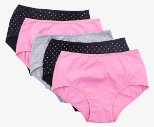 5 Pack Ladies Full Briefs - Ladies Panties Png
