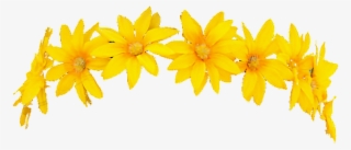 Snapchat Filter Flowercrown Character Render Freetouse - Yellow Flower Crown Transparent