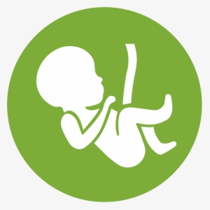 Obs - Gynaecology & Obstetrics Icon