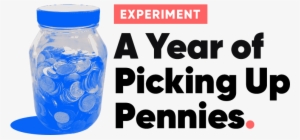 A Year Of Picking Up Pennies - Experiment