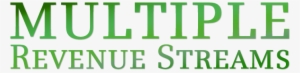Revenue Streams - Mulieris Dignitatem