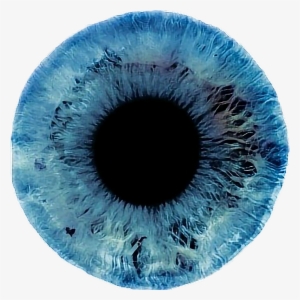 Iris Eye Eyes Blueeyeres Blueiris Color