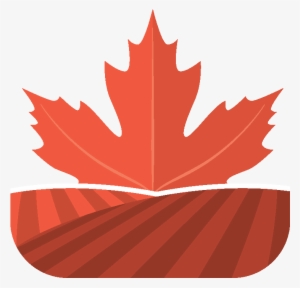Cdylc - Google Image Maple Leaf