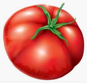 Tomate Png