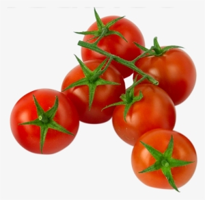 Tomate2 - Tomates Chile