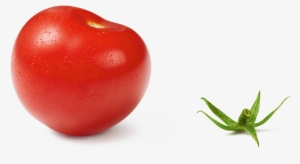 Osez Le Naturisme - Cherry Tomatoes