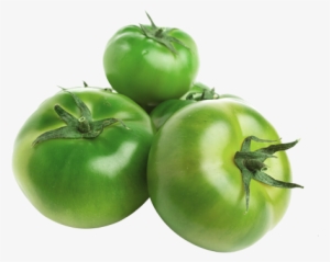 Tomate Verde Orgánico - Tomato
