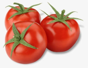 Tomates - Plum Tomato