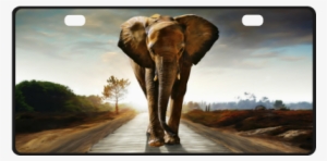 The Elephant License Plate
