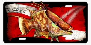 Hogfish License Plate Features - Hogfish Painting
