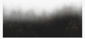 Forest Overlay - Darkness
