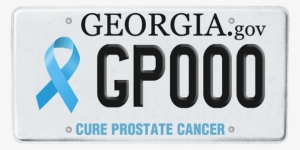 Gppc Plate Slide - Georgia License Plate Transparent