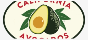 Known As Aguacate Or Alligator Pears - California Avocados