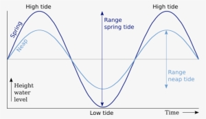 Differences Between Neap Tides And Spring Tides - Diagram