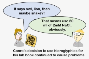 Heiroglyphs - Book