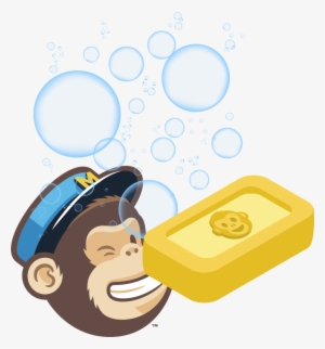 Soapchimp Removes Inactive Subscribers From Mailchimp - Mailchimp