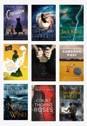 Wilmot Library Teen Book Recommendations - Amid Stars And Darkness