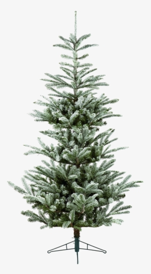 Fir-tree Download Transparent Png Image - Balsam Fir Christmas Tree