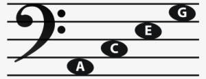 Bass Space Notes - Bass Clef