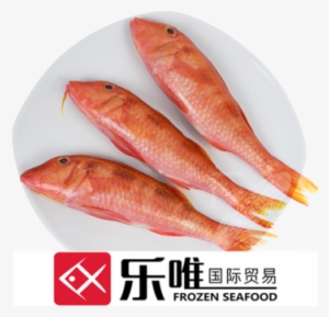 Frozen Mullet Fish Price - Coral Reef Fish