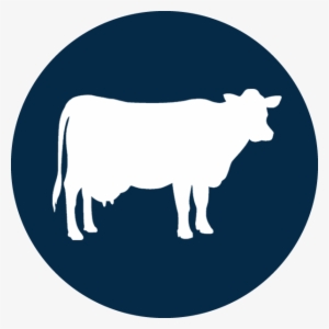 Boss Tools Icons Cows - Cattle