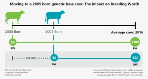 A Genetic Base Cow Update, Usually Every Five Years, - Diagram