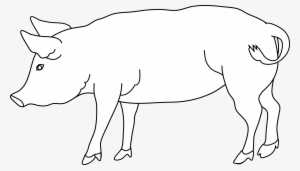 Pig Coloring Page Pig Head Black White Clipart Transparent Png