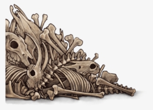 Pile Of Bones Png