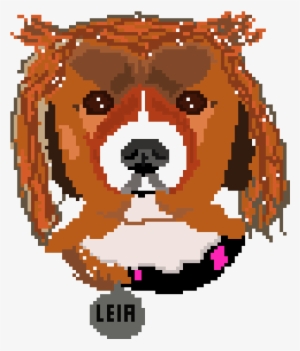 Scuffed Leia - Justin Time