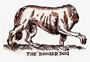 Booger Dog - Dog