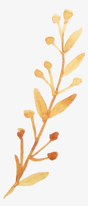Twig Vector Watercolor - Watercolor Branch With Flower Png