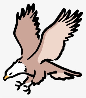 Vector Illustration Of Cartoon American Bald Eagle - Pioneers Football Club Alice Springs